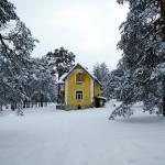 Колумна Миодрага Тасића: Снег у децембру