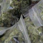 Policija u Jasenju pronašla 45 kilograma marihuane