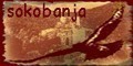 sokobanja.com