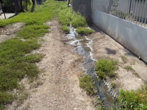 Veliki problem sa kanalizacijom u Novom naselju