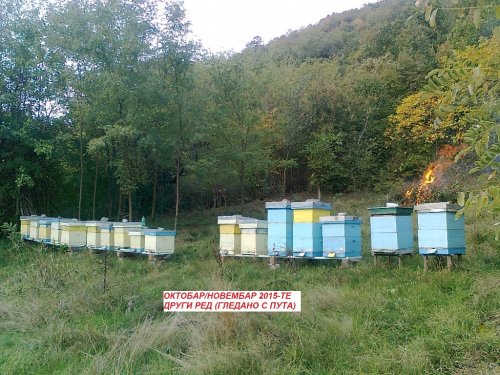 Крађа на пчелињаку у Бовну