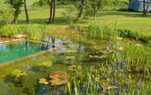 Šta su prirodni bazeni i kako ih napraviti