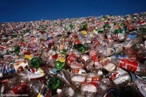 Plastične kese kao ekološki problem
