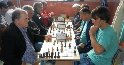 Seoske olimpijske igre Srbije 2013: Šah
