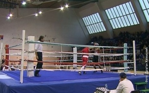 Бокс се враћа у Алексинац