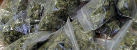 Zaplenjena dva kilograma marihuane u Aleksincu