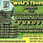 Trodnevni turnir u fudbalu “Wollfs trophy first edition 2018”