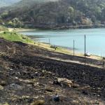 Ko je zapalio rastinje kod obale na Bovanskom jezeru?