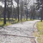 Општина Алексинац ради партерно уређење парка Брђанка