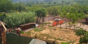 Opština troši stotine hiljada evra na ujede pasa, a ignoriše rešenje koje nudi privatno prihvatilište