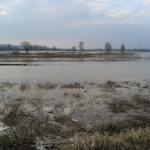 Поплавни талас стигао до Алексинца