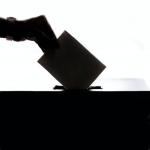 Колумна Миодрага Тасића: Избори