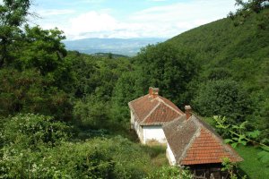 Голешница - село без пута и без људи