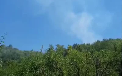 Šumski požar kod Subotinca