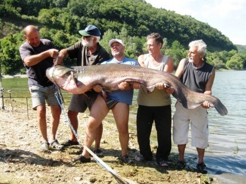 На Бованском језеру ухваћен сом од 104 килограма